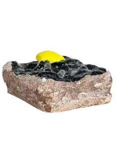 Cassetta in gesso con cozze per statue da 8-10 cm