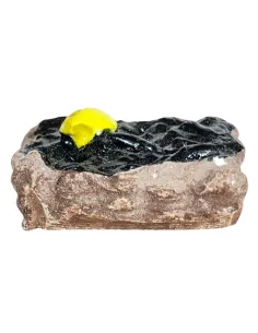 Cassetta in gesso con cozze per statue da 8-10 cm 2