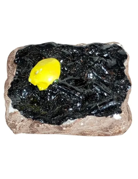 Cassetta in gesso con cozze per statue da 8-10 cm