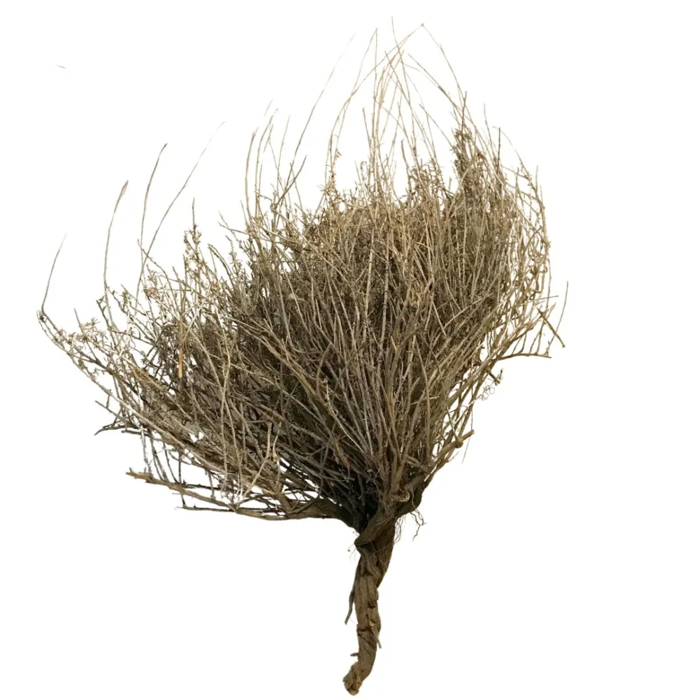 Erica ciuffo naturale