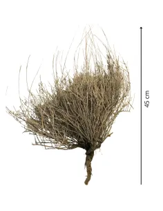 Natural heather tuft 2