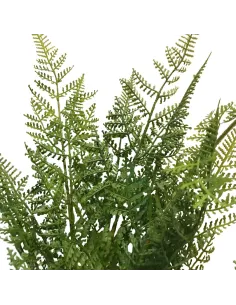 PVC fern branch 2