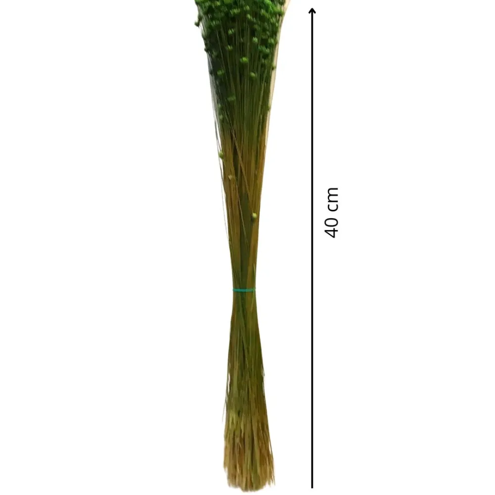 Mazzo glixia naturale colore verde