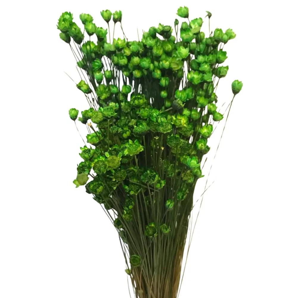 Mazzo glixia naturale colore verde