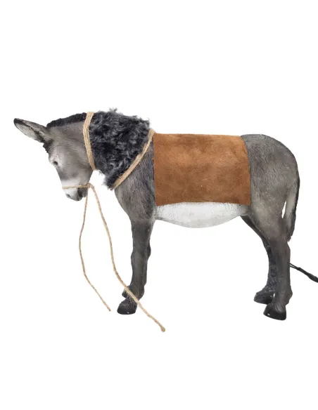 Asino in piedi in movimento per 30 cm