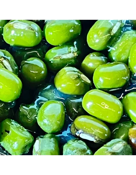 Vaso in terracotta con olive per statue da 30 cm