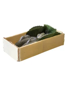 Cassetta in legno con pesce per statue da 25-30 cm 2