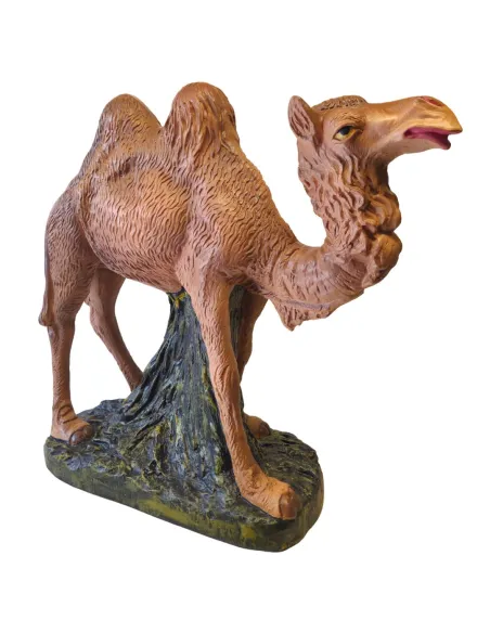 Camel in Plaster, 60 cm Nativity Figure