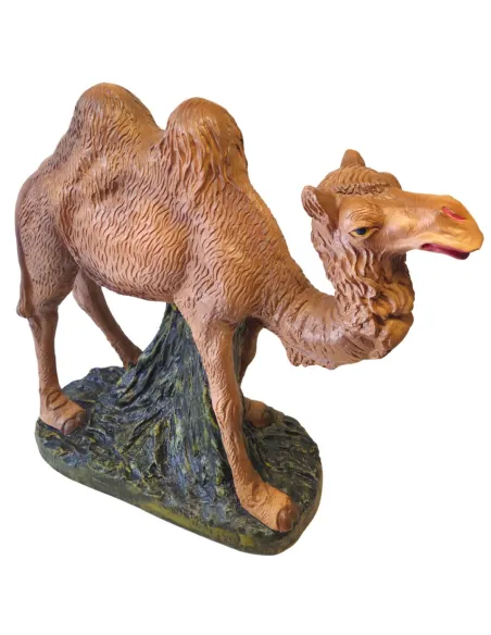 Camel in Plaster, 60 cm Nativity Figure