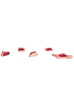 Set of Five Plaster Cuts of Meat for 10–12 cm Nativity Figures 2