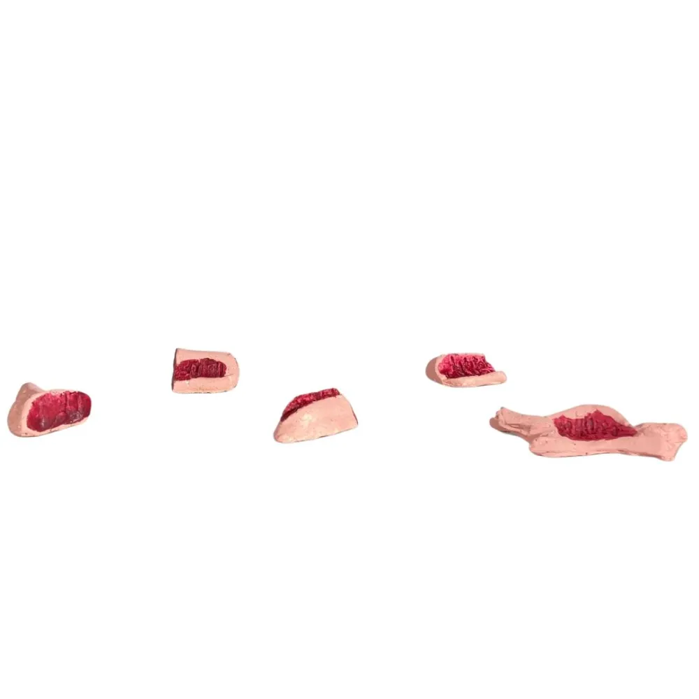Set 5 pezzi carne in gesso per statue da 10-12 cm