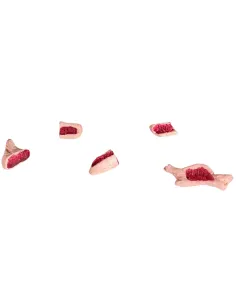 Set 5 pezzi carne in gesso per statue da 10-12 cm