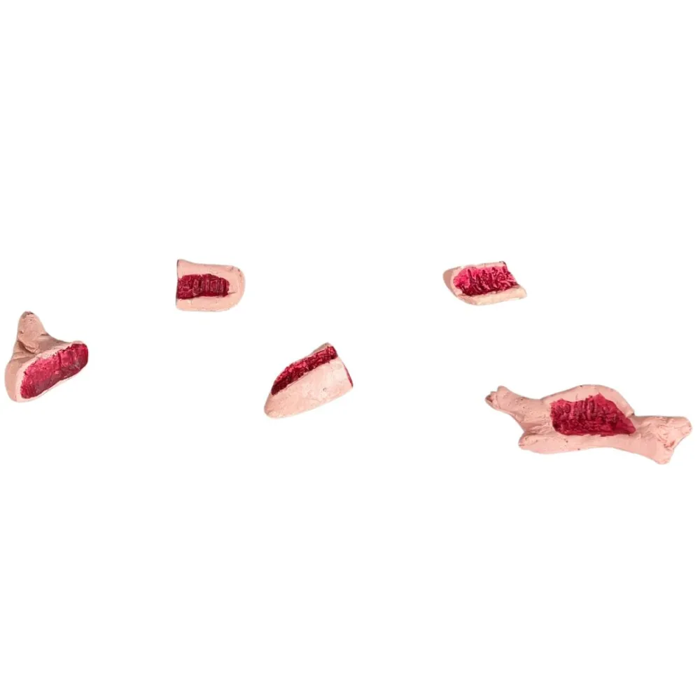 Set 5 pezzi carne in gesso per statue da 10-12 cm