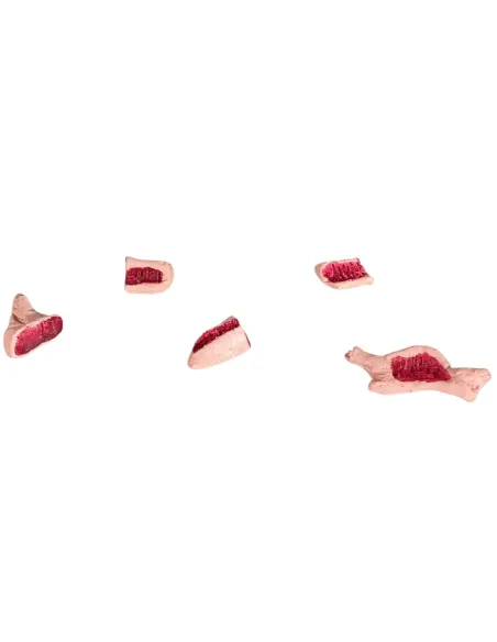 Set 5 pezzi carne in gesso per statue da 10-12 cm
