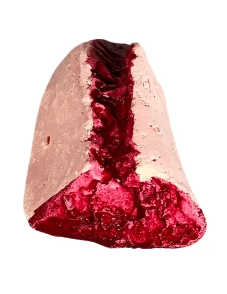 Set 5 pezzi carne in gesso per statue da 10-12 cm