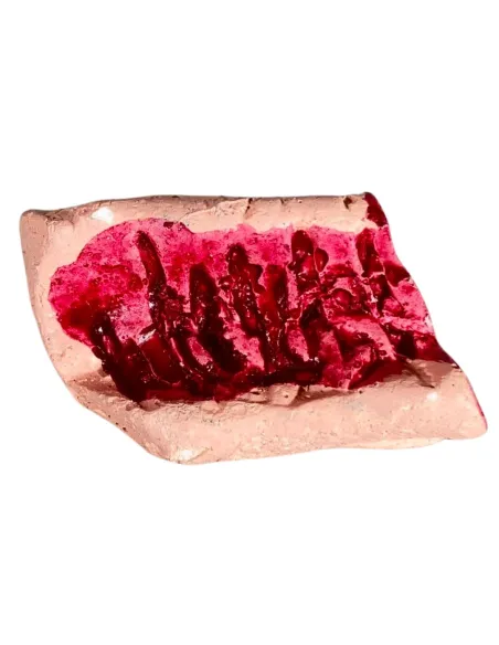 Set 5 pezzi carne in gesso per statue da 10-12 cm