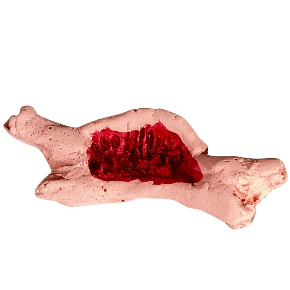 Set 5 pezzi carne in gesso per statue da 10-12 cm