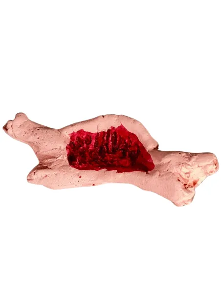 Set 5 pezzi carne in gesso per statue da 10-12 cm