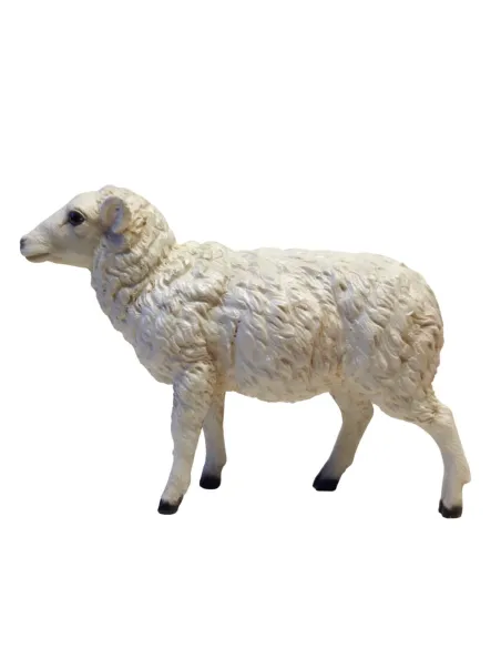 Sheep in Resin, suitable 15–20 cm Nativity Figures