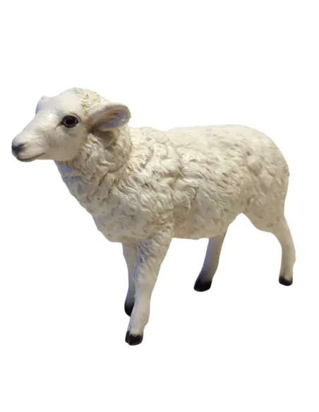 Sheep in Resin, suitable 15–20 cm Nativity Figures