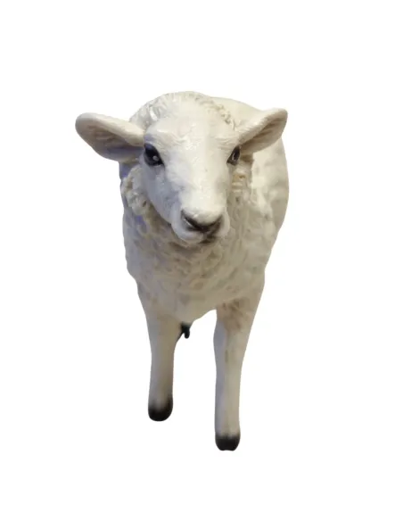Sheep in Resin, suitable 15–20 cm Nativity Figures