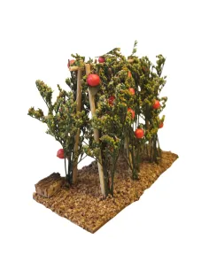 Piante di pomodori per statue da 8-10 cm