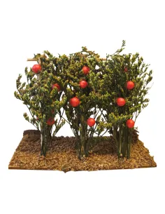 Piante di pomodori per statue da 8-10 cm 2