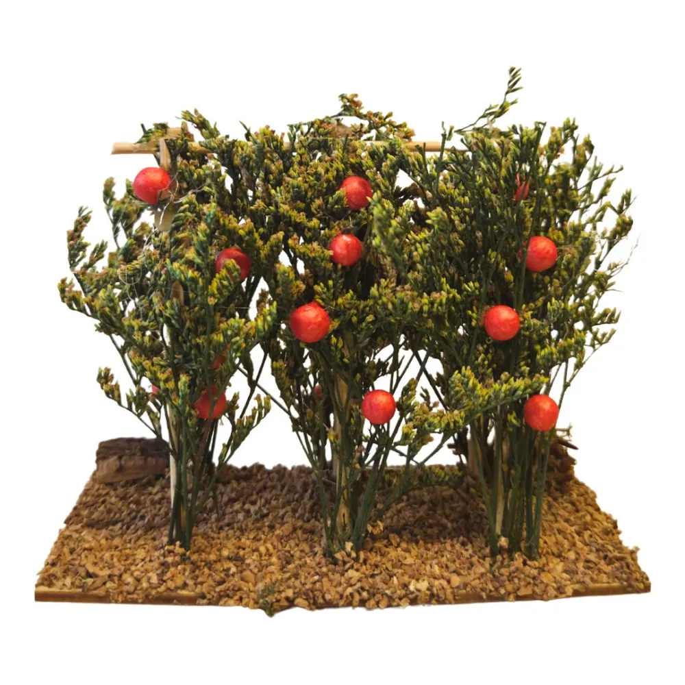 Piante di pomodori per statue da 8-10 cm