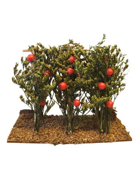 Piante di pomodori per statue da 8-10 cm
