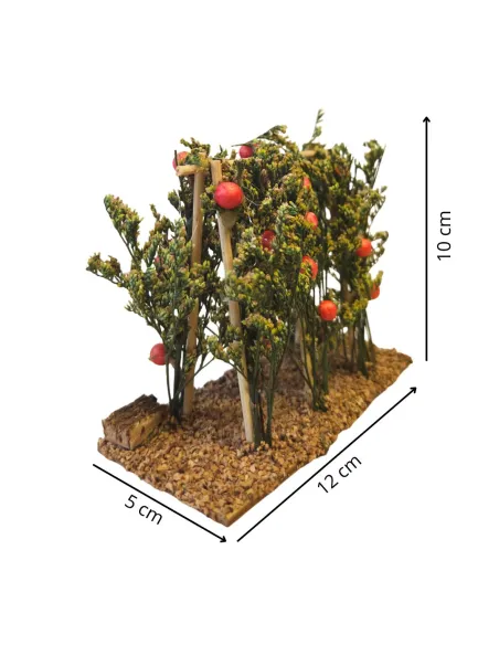 Piante di pomodori per statue da 8-10 cm