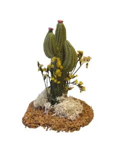Cactus per statue da 10-12 cm 2