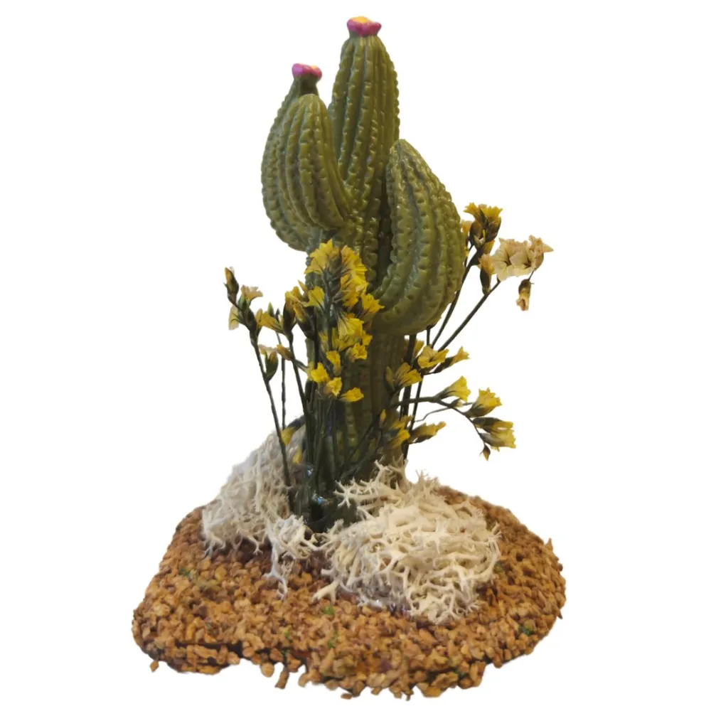 Cactus per statue da 10-12 cm