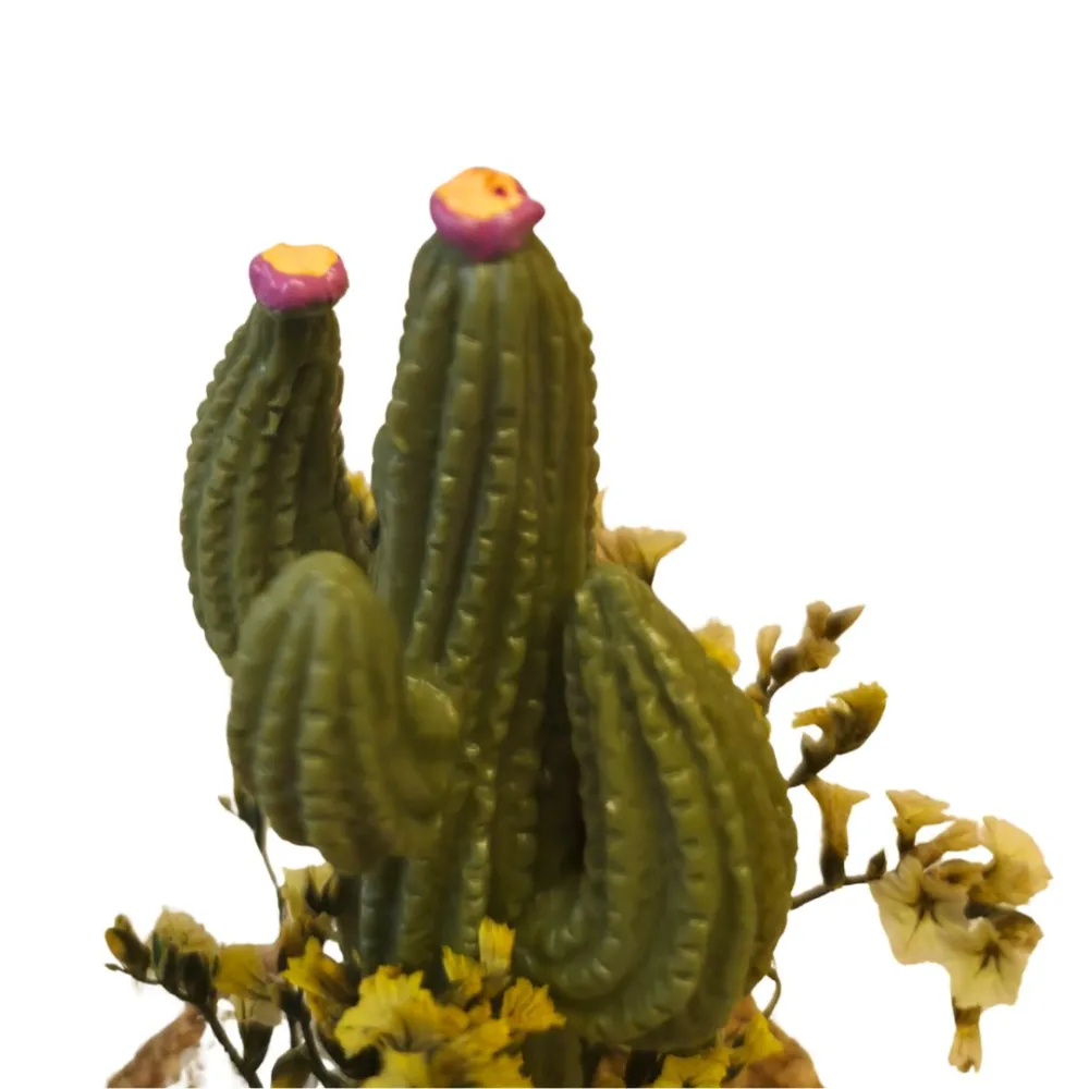 Cactus per statue da 10-12 cm