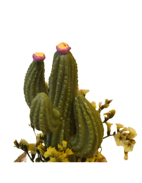 Cactus per statue da 10-12 cm