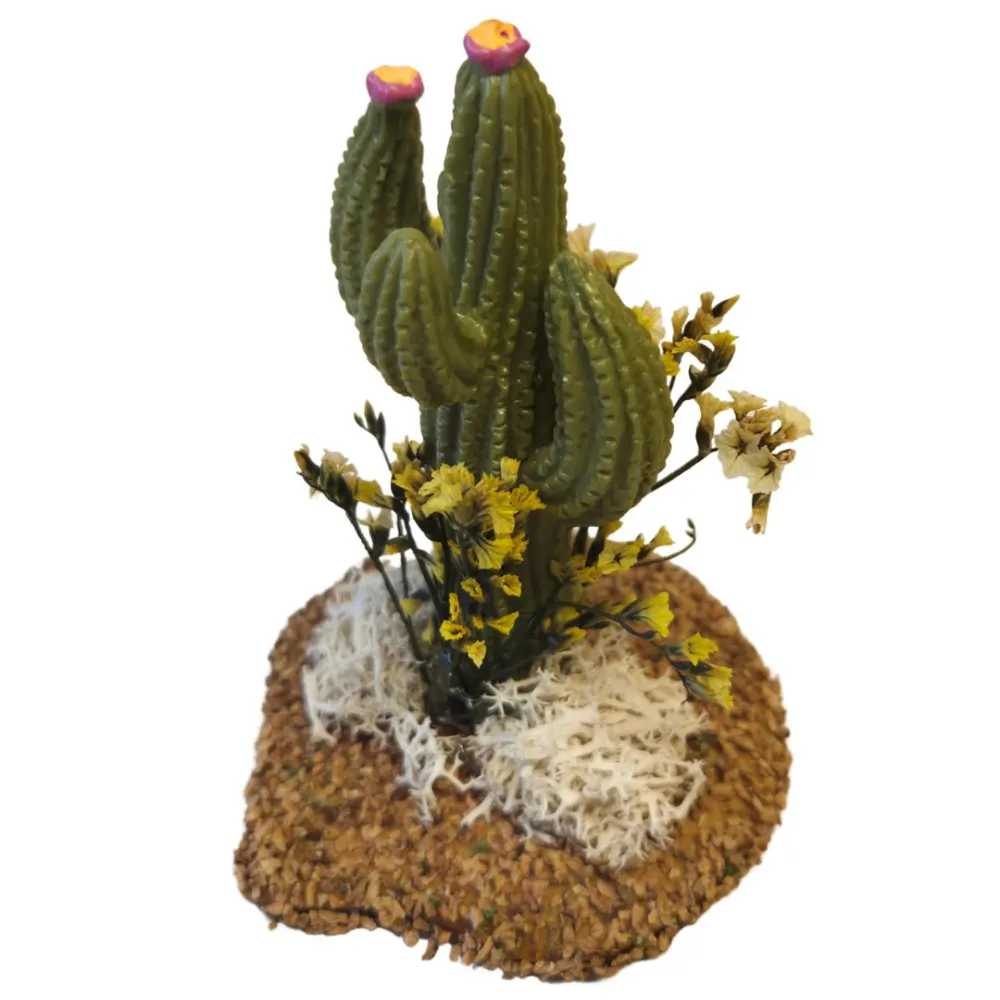Cactus per statue da 10-12 cm