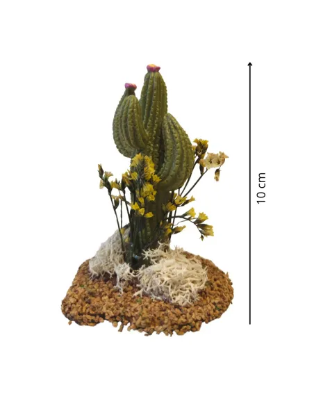 Cactus per statue da 10-12 cm