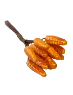Bundle of Polystyrene Corn Cobs for 25–30 cm Nativity Figures