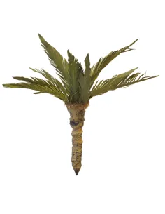 Palma nana per statue da 12-15 cm