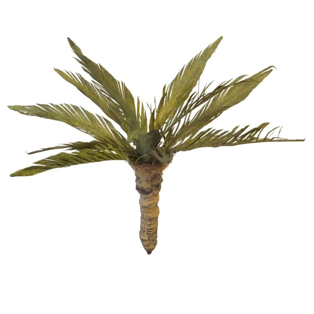 Palma nana per statue da 12-15 cm
