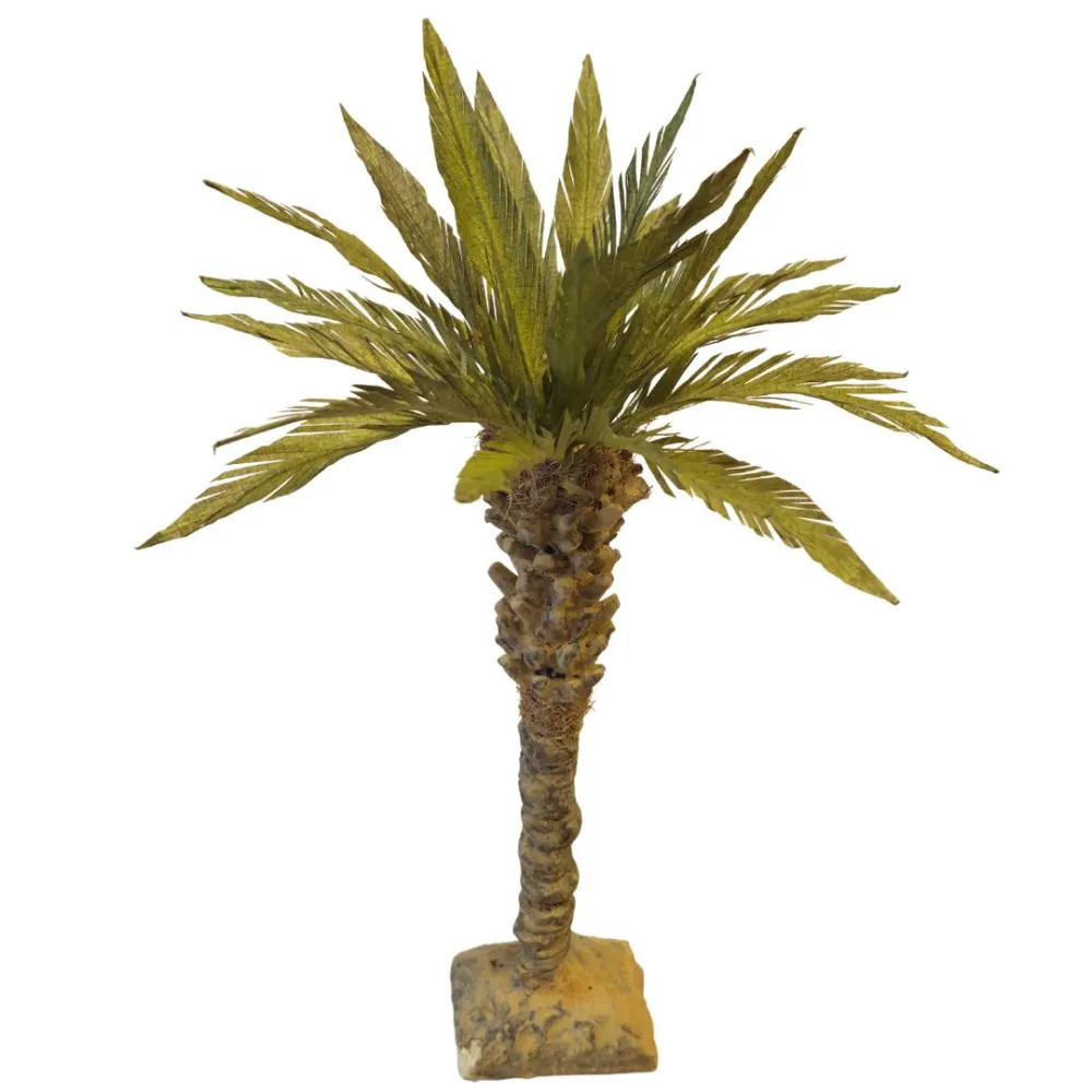Canary Island Date Palm, for 10–12 cm Nativity Figures