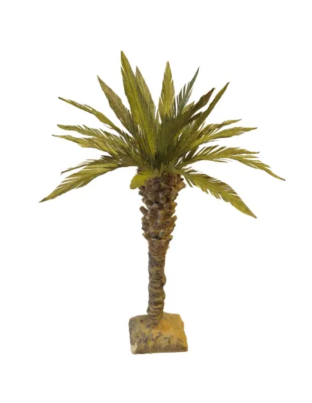 Canary Island Date Palm, for 10–12 cm Nativity Figures
