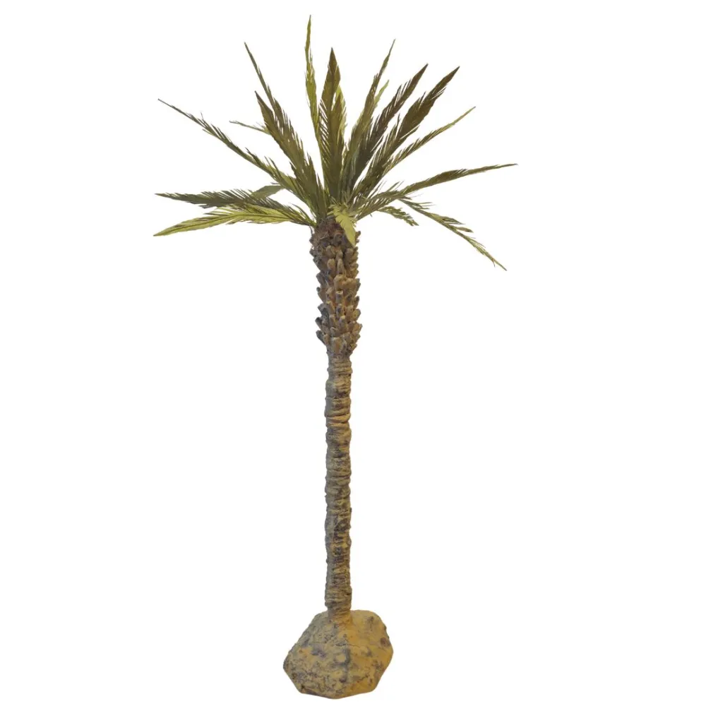 Canary Island Date Palm, for 20–25 cm Nativity Figures