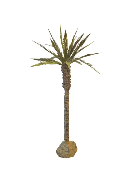 Palma delle Canarie per statue da 20-25 cm