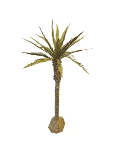 Palma delle Canarie per statue da 20-25 cm 2