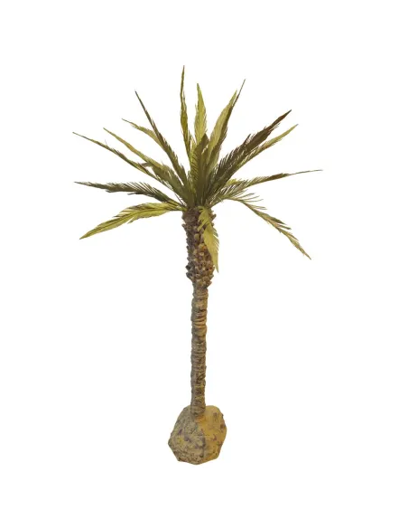 Canary Island Date Palm, for 20–25 cm Nativity Figures