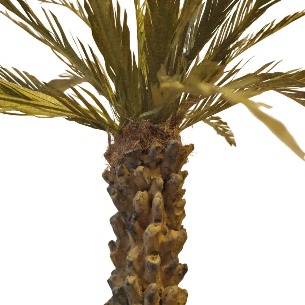 Palma delle Canarie per statue da 20-25 cm