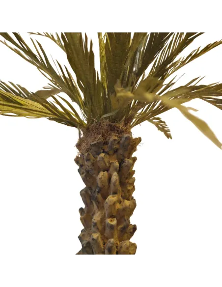 Palma delle Canarie per statue da 20-25 cm