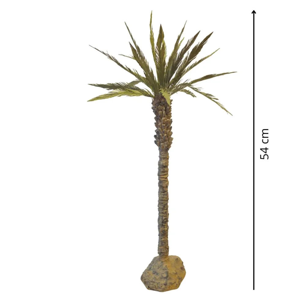 Canary Island Date Palm, for 20–25 cm Nativity Figures