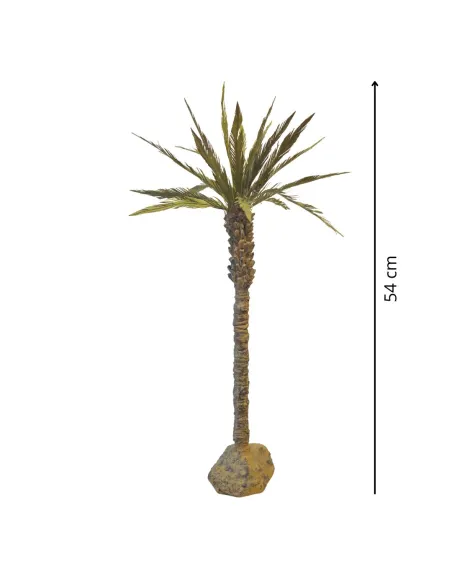Canary Island Date Palm, for 20–25 cm Nativity Figures