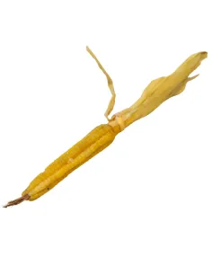 Pannocchia in cera per statue da 30 cm